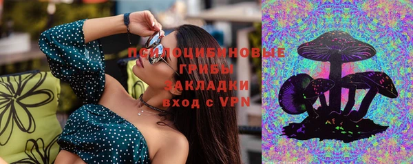 бутират Богородицк