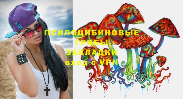 мдпв Богородск