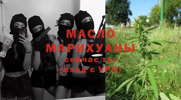 мдпв Богородск