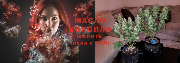 мдпв Богородск
