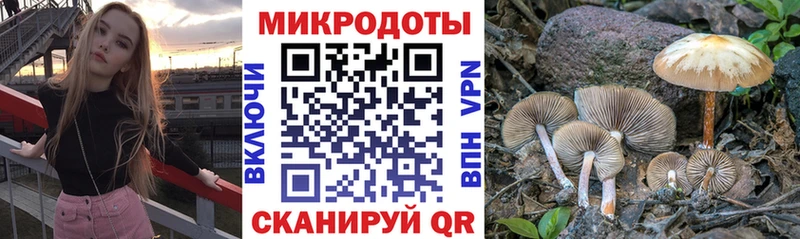даркнет сайт  Малоархангельск  Псилоцибиновые грибы Cubensis 